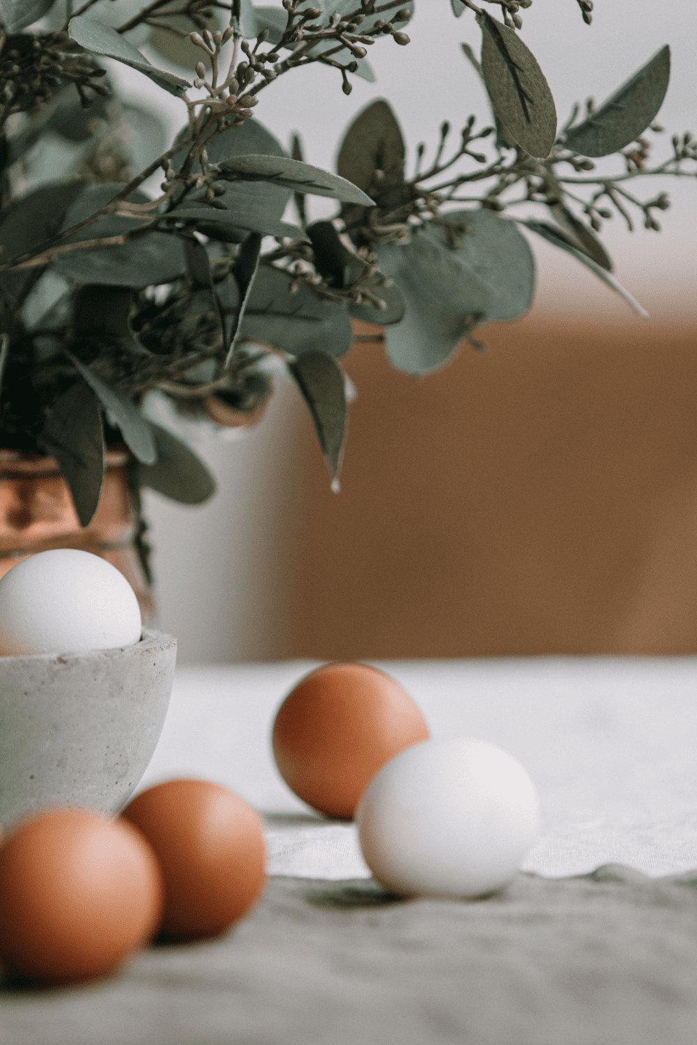 benefits of farm fresh eggs vs store bought
