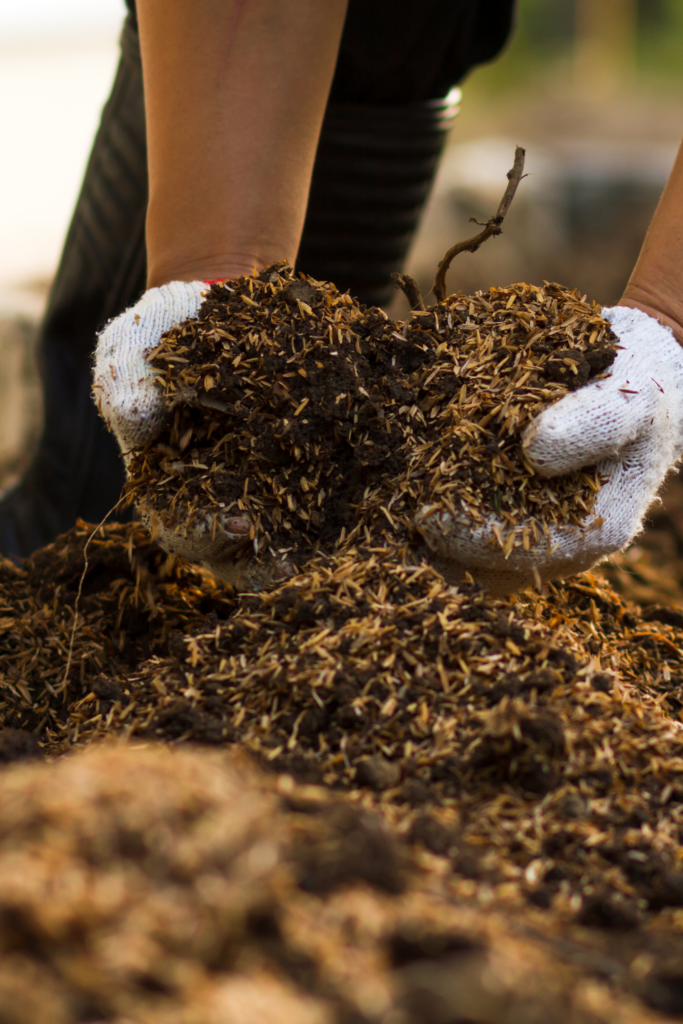 Can You Use Potting Mix in the Ground?