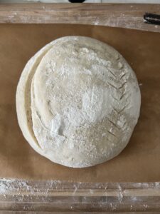 The Great Mystery: Why Does Your Sourdough Starter Smells Like Alcohol