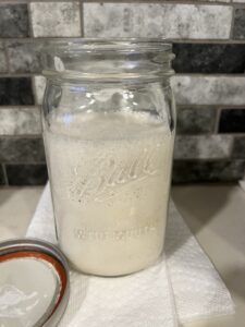 How to Revive Sourdough Starter: Remedying a Starter to Bake Again