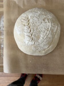 The Great Mystery: Why Does Your Sourdough Starter Smells Like Alcohol