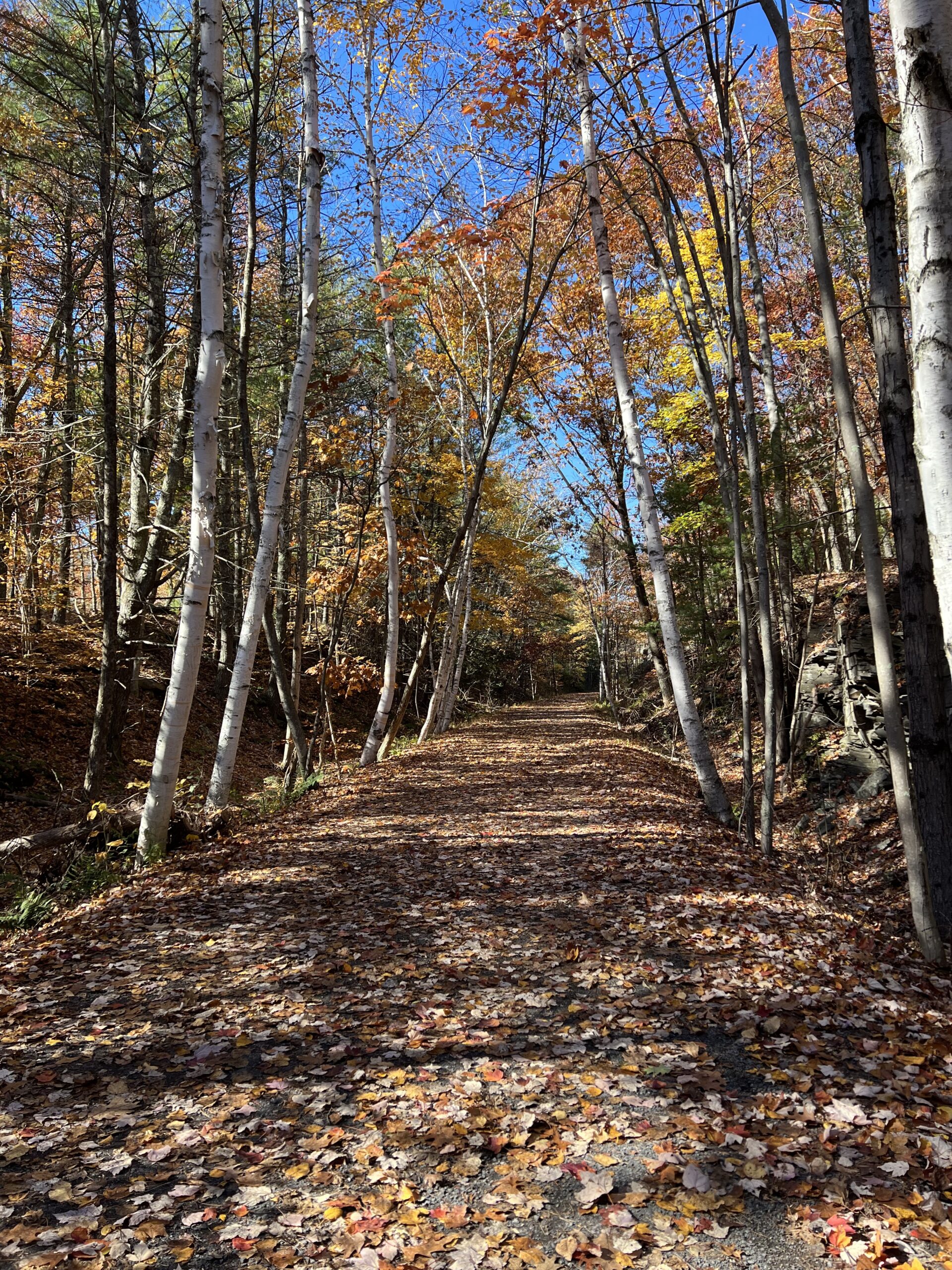 40 Fall Activities You Need to Do This Fall - Cedar Homestead