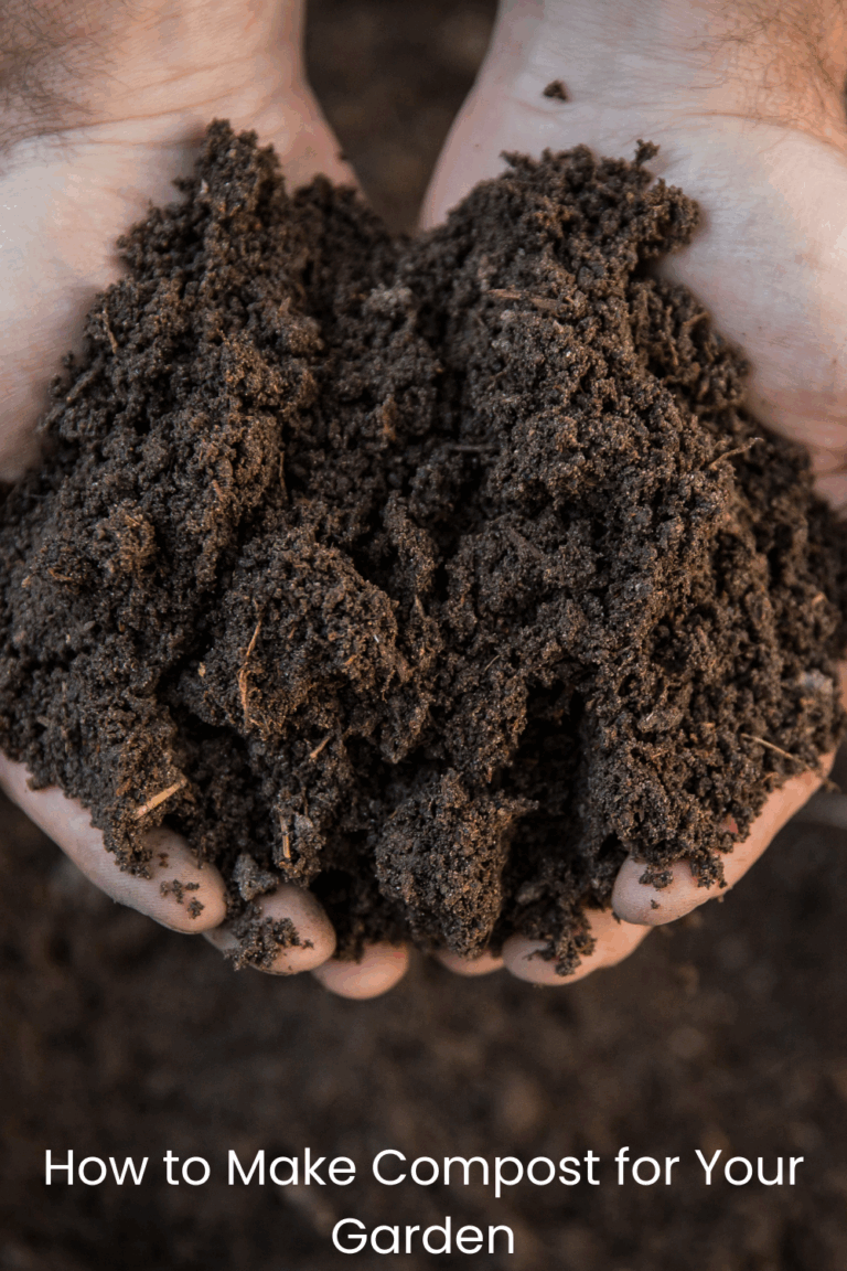 How To Make Compost For Garden