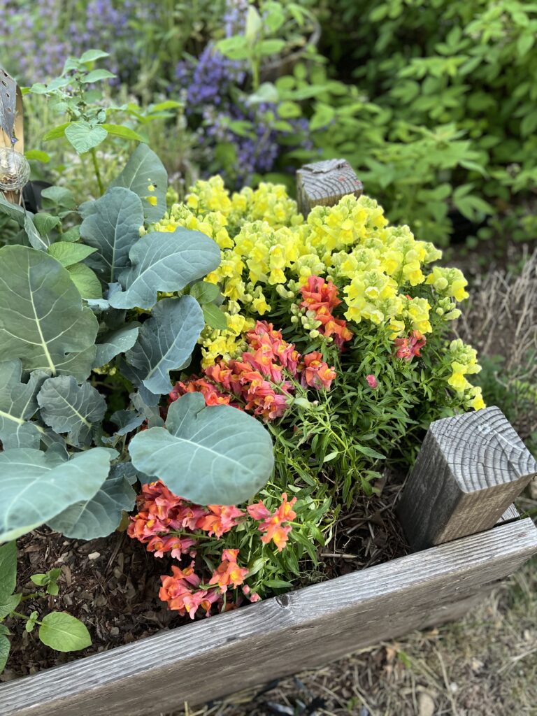 Small Garden Design Low Maintenance