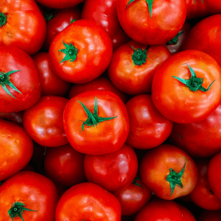 Tomato Garden Ideas