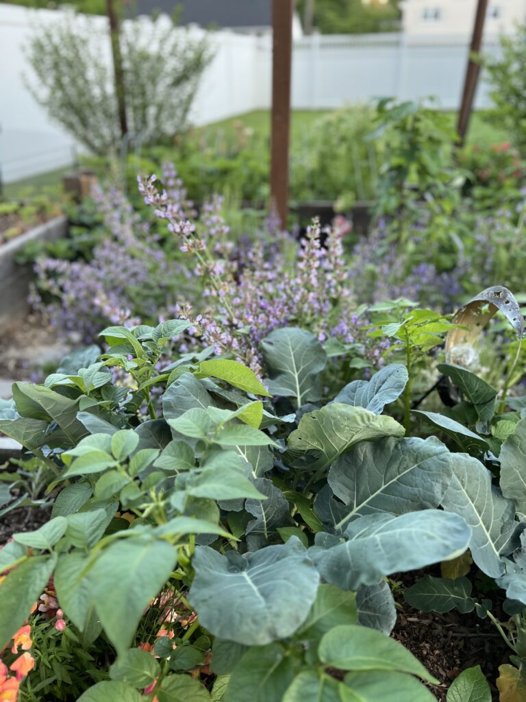 easy maintenance garden ideas