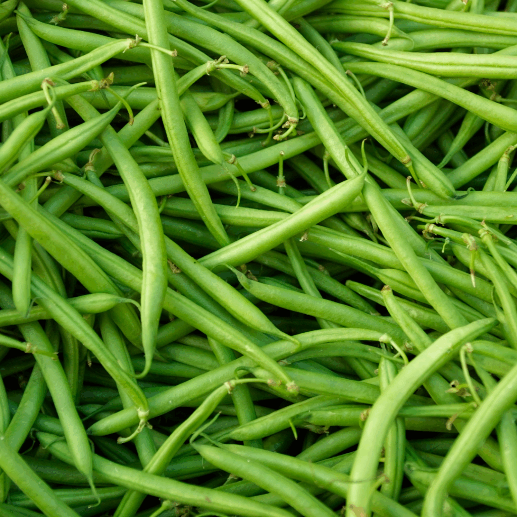 freezing fresh green beans