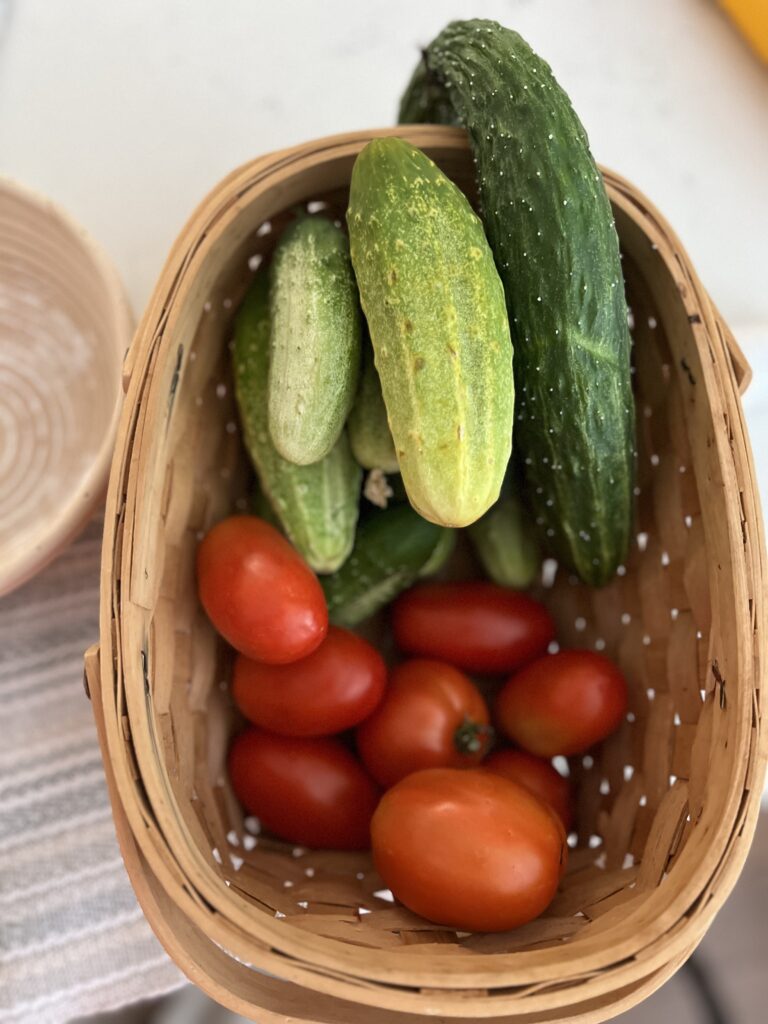 food preservation