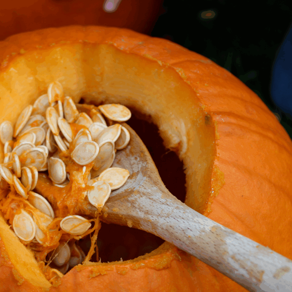 pumpkin carving ideas