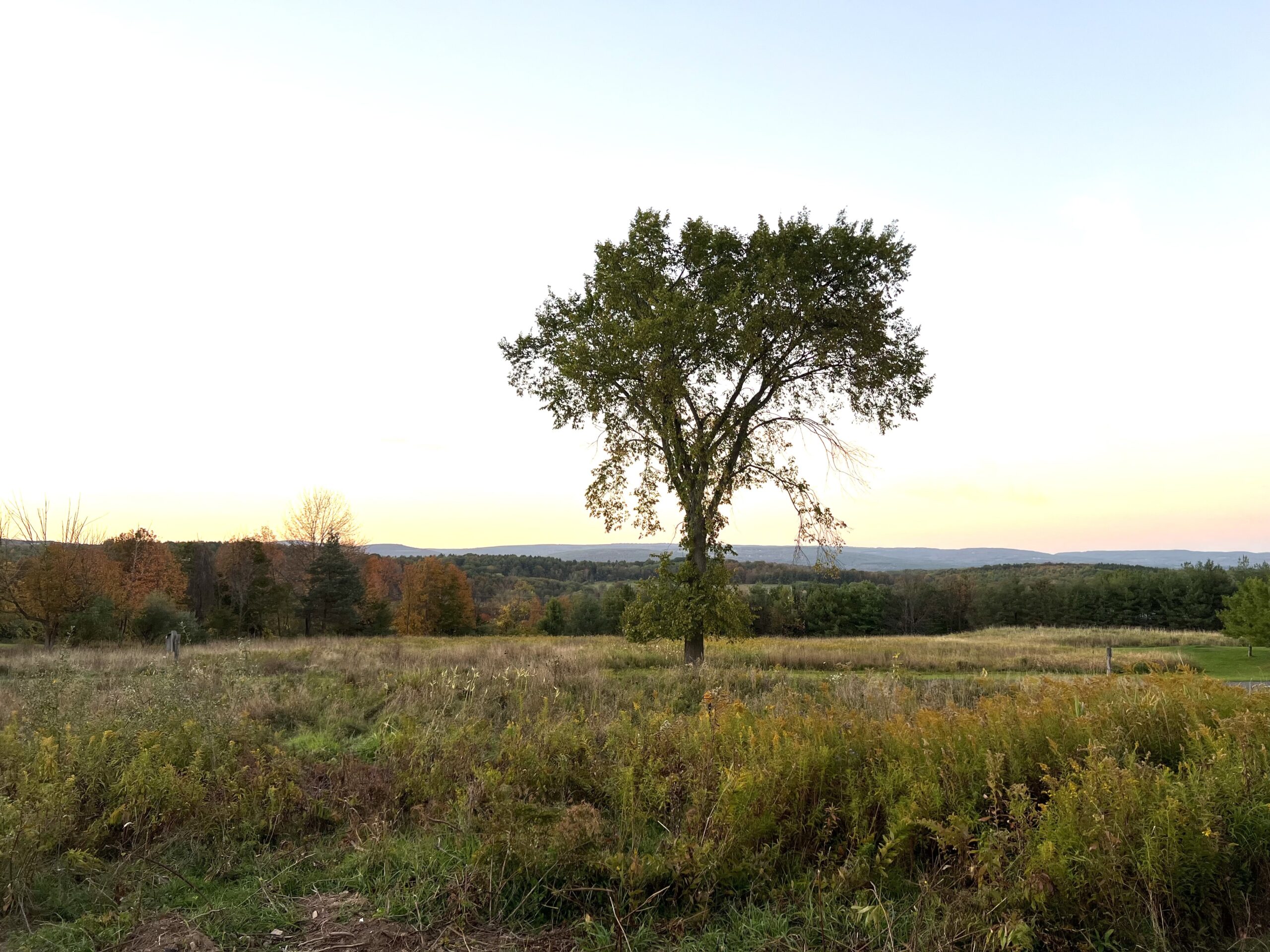 buying land