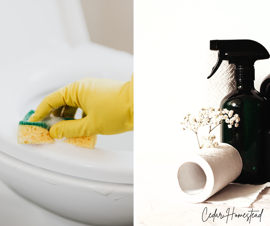 cleaning tips home