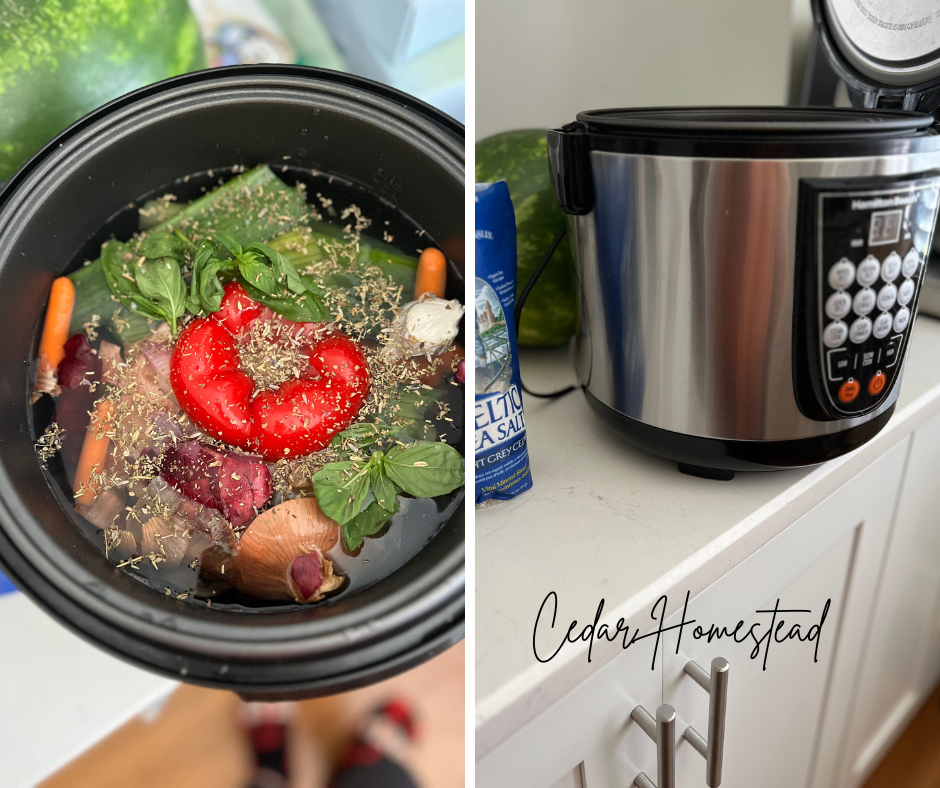 kitchen essentials for new apartment