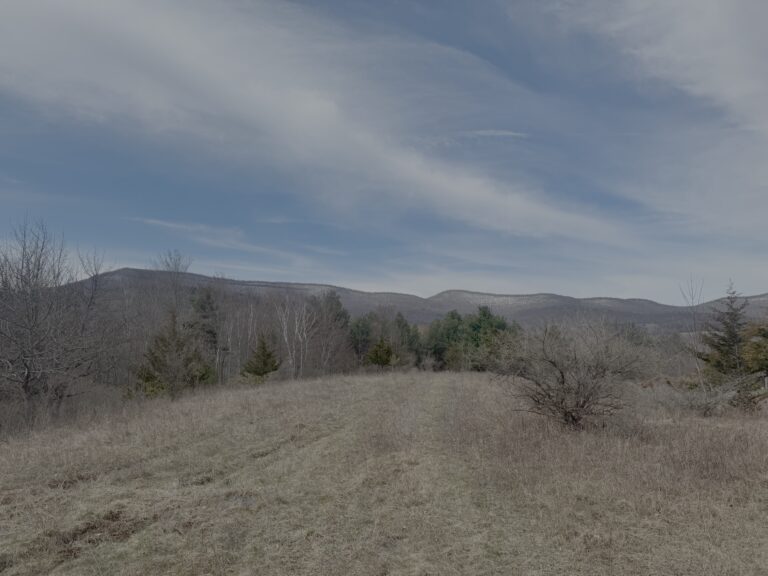 Open field with dry grass leading toward a line of trees and distant mountains under a partly cloudy blue sky, showing a peaceful rural landscape ideal for land-buying scenery.