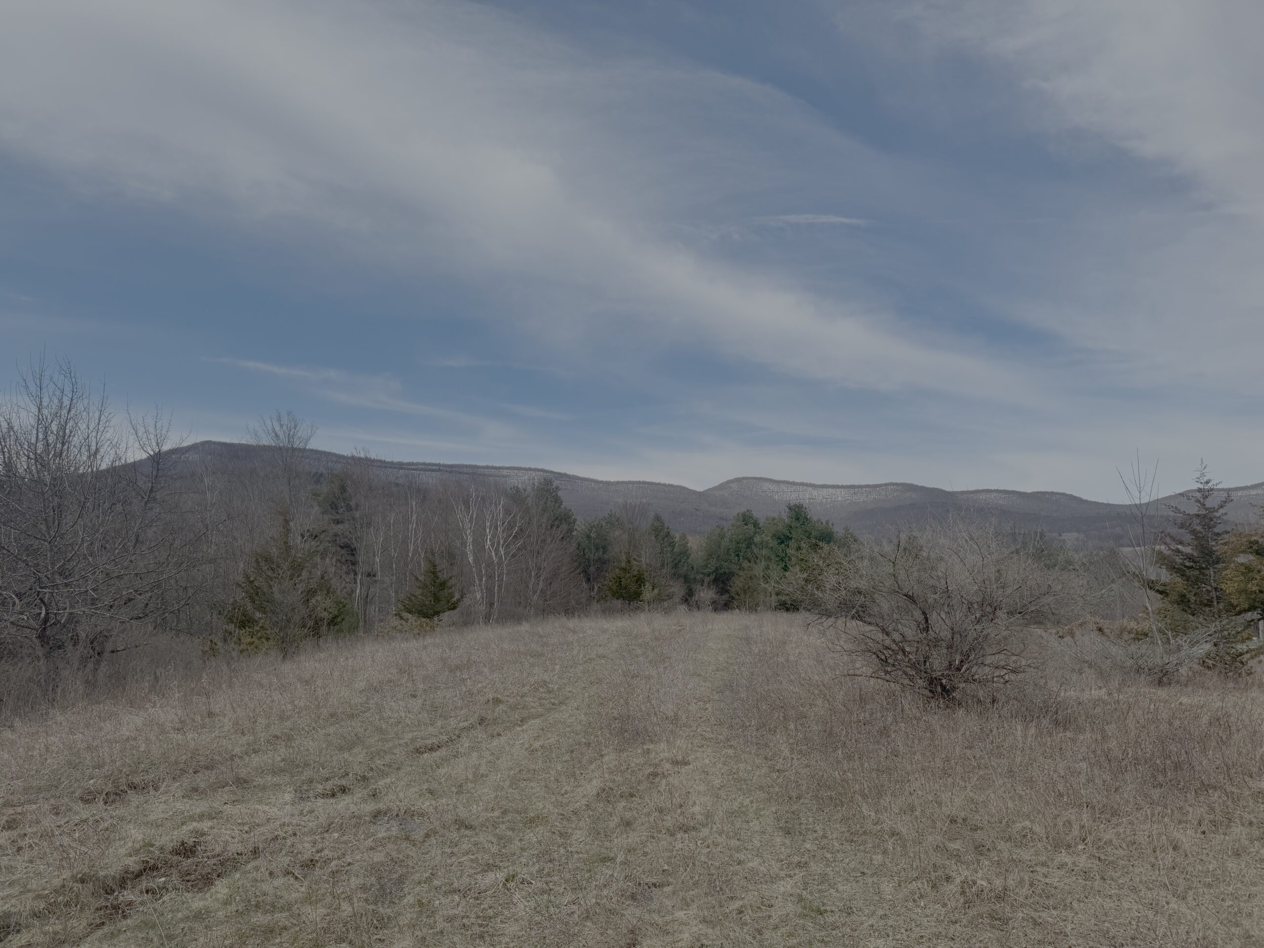 Open field with dry grass leading toward a line of trees and distant mountains under a partly cloudy blue sky, showing a peaceful rural landscape ideal for land-buying scenery.